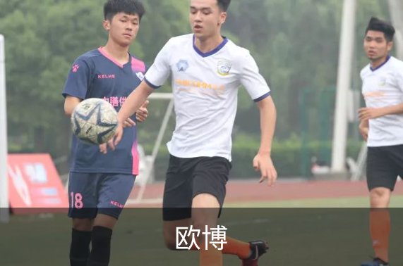 欧博简介